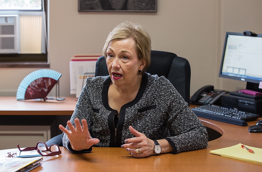 Lifelong Learning in Action