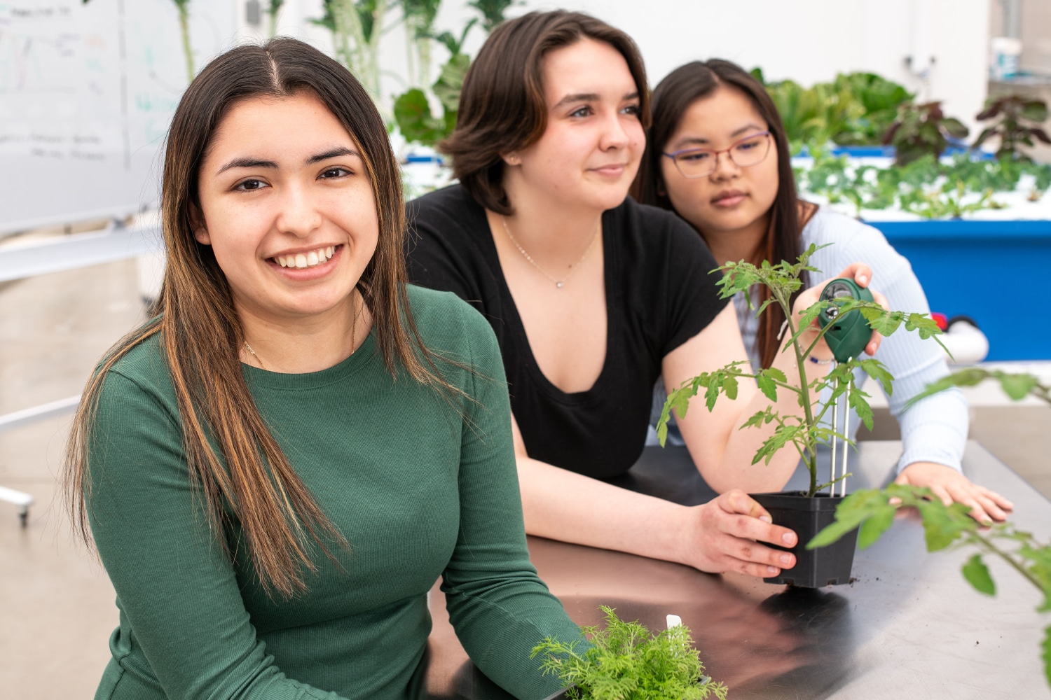 Alverno College Receives $1.9 Million Grant From the National Science Foundation